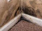 Mould is one of the major complaints that will prompt a call to a residential IAQ specialist. Photo iStockphoto