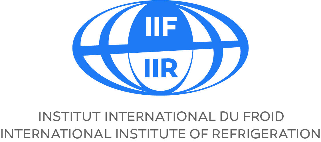 Logo_IIF_CMJN